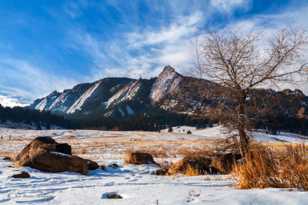 The Flatirons-8083.jpg The Flatirons-8083.jpg